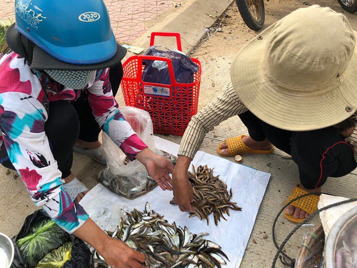 Tứ amp;#34;độcamp;#34; đặc sản cá cực hiếm ở miền núi, có tiền cũng khó mua - 10