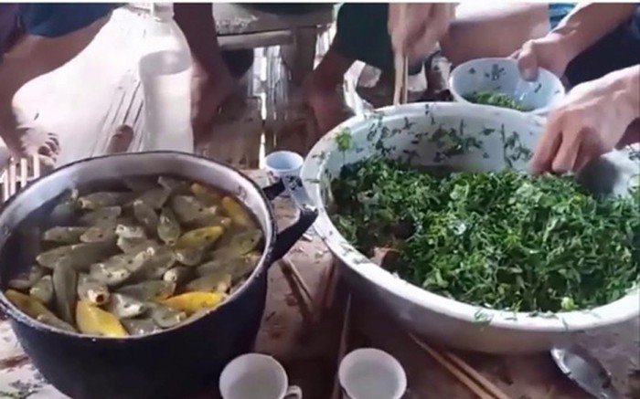 Tứ amp;#34;độcamp;#34; đặc sản cá cực hiếm ở miền núi, có tiền cũng khó mua - 13