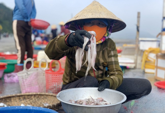 Thứ trước đây cho heo ăn, nay thành đặc sản giúp người bắt kiếm tiền triệu/ngày - 3