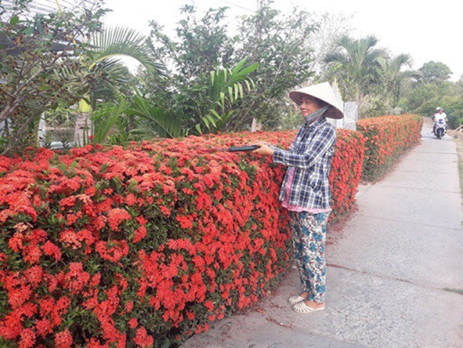 Nhà cấp 4 của ông nông dân Việt Nam nổi khắp mạng xã hội nhờ thứ không ai có - 8