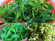 Xem ăn chơi - 6 thứ mọc dại ven đường bỗng trở thành đặc sản nổi tiếng, nhìn lạ mắt nhưng ăn rất ngon