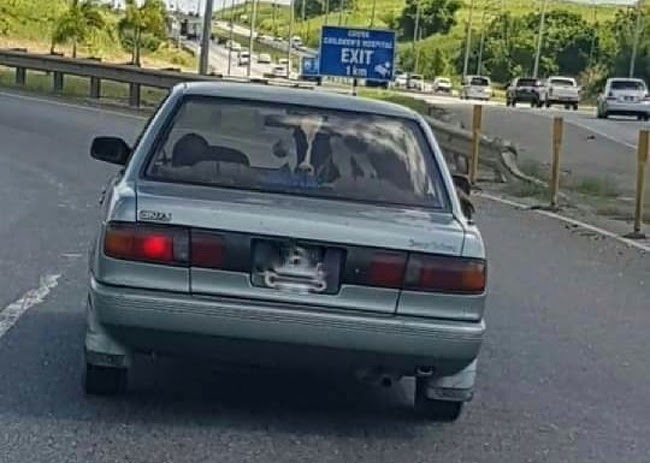 Loạt ảnh khiến bạn amp;#34;đứng hìnhamp;#34; trong 1 giây: Có gì đó sai sai ở đây - 12