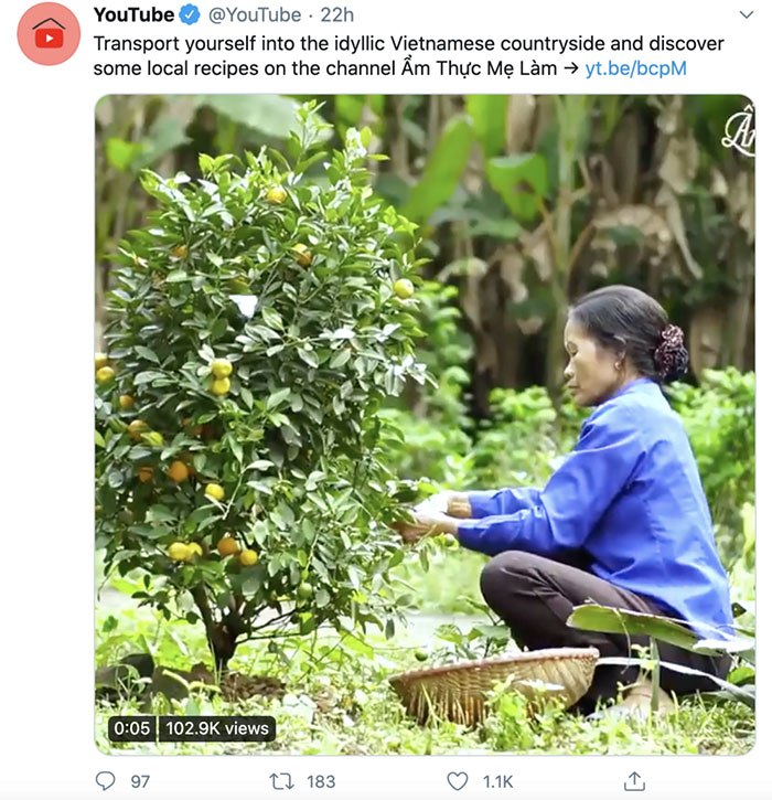 Giữa dàn đạo nhái, một kênh Youtube Việt Nam được “tiên nữ đồng quê” Lý Tử Thất khen ngợi - 3