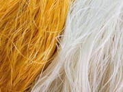 Tiêu dùng - Mua miến dong ăn Tết 2021, nếu nhìn thấy đặc điểm này thì nên đặt xuống ngay