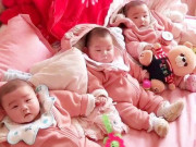 Bà bầu - Hai người đàn ông chi 1,5 tỉ đi xin trứng, mang về thụ tinh được dàn "công chúa"