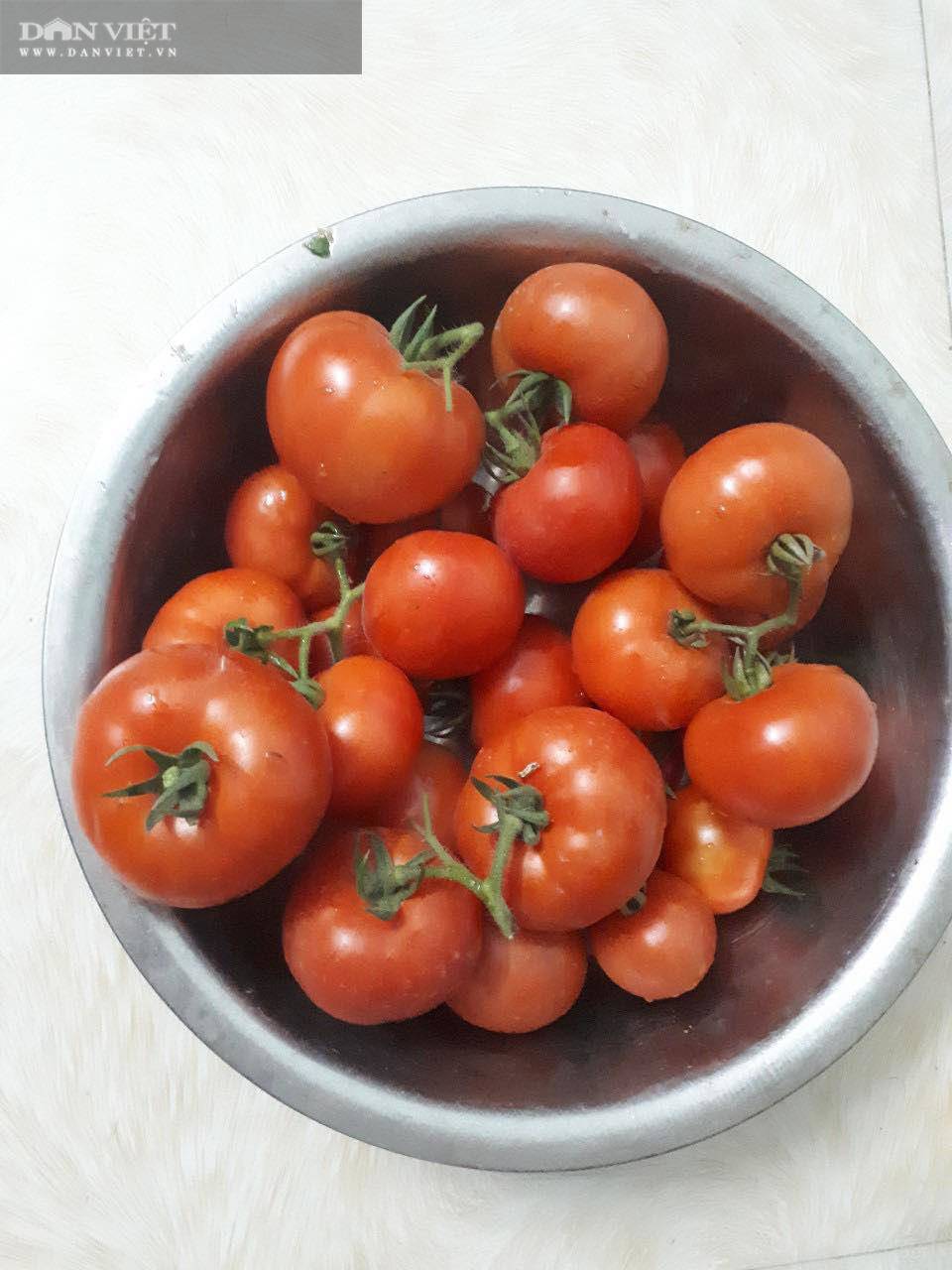 Mẹ đảm mách cách trồng cà chua trên ban công cho quả sai trĩu trịt - 5