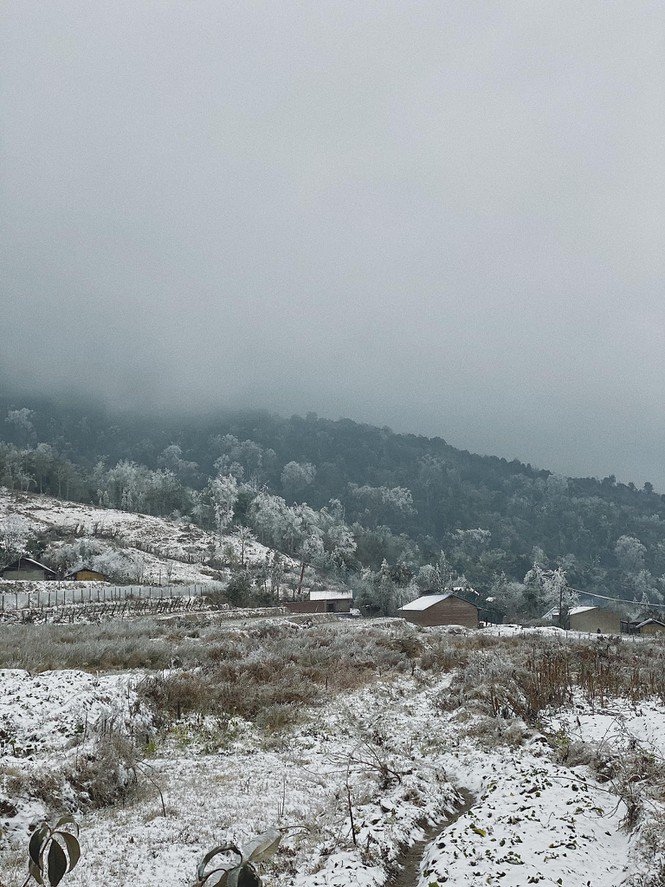 Y Tý, Sa Pa những ngày tuyết mùa Đông: Đẹp như lạc vào thế giới cổ tích của Frozen - 5
