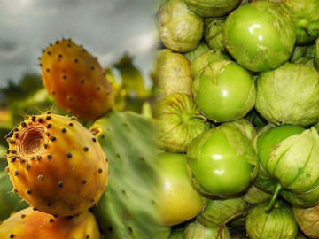 3 loại quả mọc dại ở Việt Nam, ra nước ngoài thành đặc sản quý như vàng