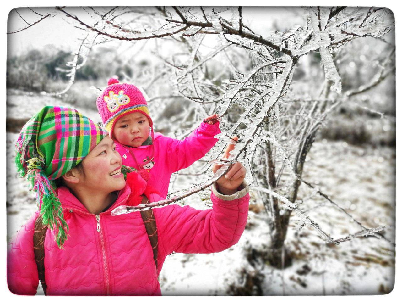 Lào Cai: Lạnh -3 độ C, Y Tý như chiếc tủ lạnh khổng lồ - 1