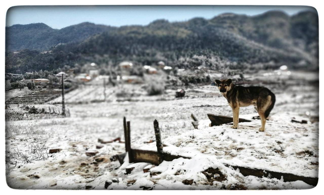 Lào Cai: Lạnh -3 độ C, Y Tý như chiếc tủ lạnh khổng lồ - 3