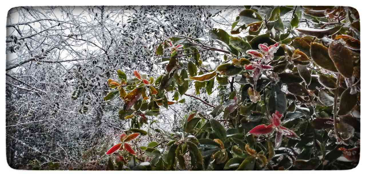 Lào Cai: Lạnh -3 độ C, Y Tý như chiếc tủ lạnh khổng lồ - 5