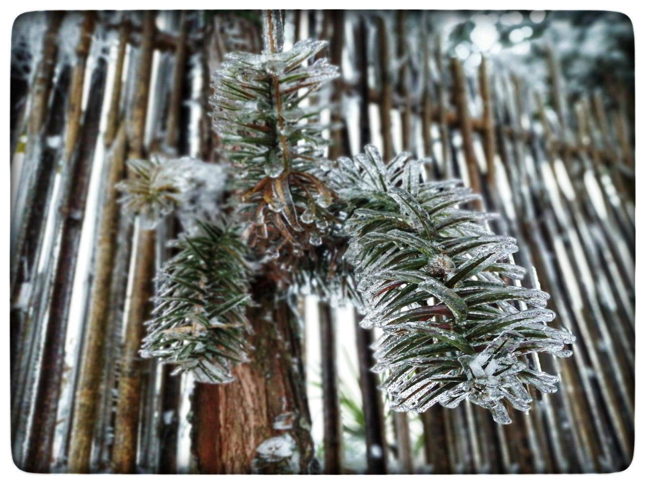 Lào Cai: Lạnh -3 độ C, Y Tý như chiếc tủ lạnh khổng lồ - 4