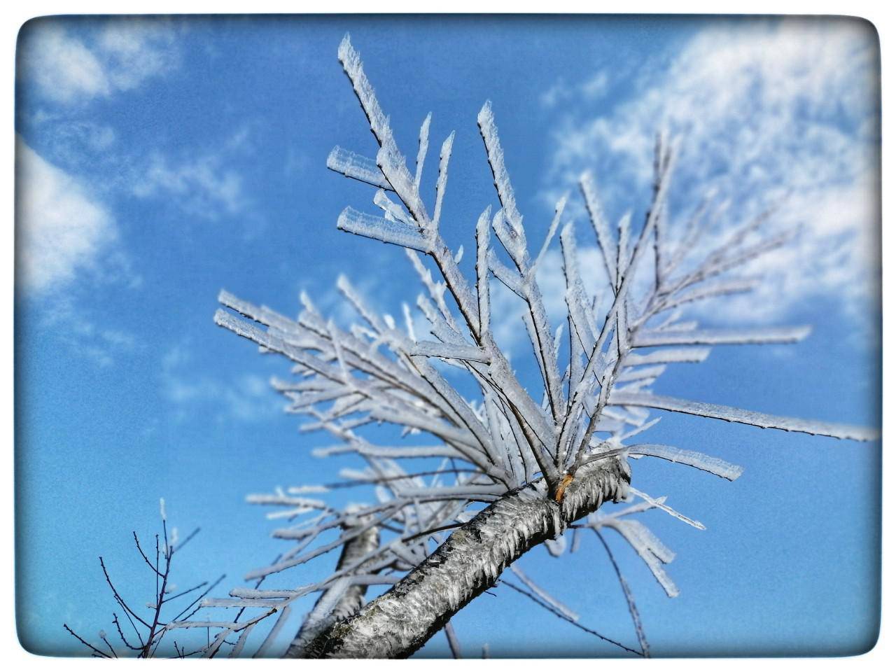 Lào Cai: Lạnh -3 độ C, Y Tý như chiếc tủ lạnh khổng lồ - 12