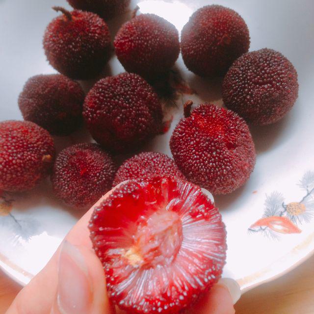 Những loại quả mọc dại đầy đường ở nước ngoài, về Việt Nam đội giá trên trời - 2