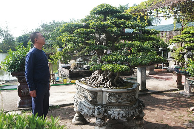 Mãn nhãn sanh cổ trăm tuổi có tên lạ, giá 5 tỷ đồng ở Hà Nội - 15