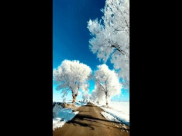 Phát sốt với con đường mùa đông -16 độ C đẹp quên lối về