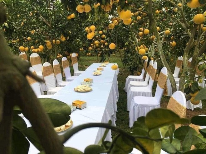 Đám cưới ở vườn bưởi lúc lỉu tại Bắc Giang “gây sốt” MXH: Sự thật không ai ngờ - 3