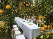 Tin tức - Đám cưới ở vườn bưởi lúc lỉu tại Bắc Giang “gây sốt” MXH: Sự thật không ai ngờ