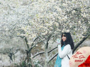 Xem ăn chơi - 4 điểm đến đáng đi nhất dịp Tết: Một chuyến đi tuyệt vời mở màn cho năm mới như ý