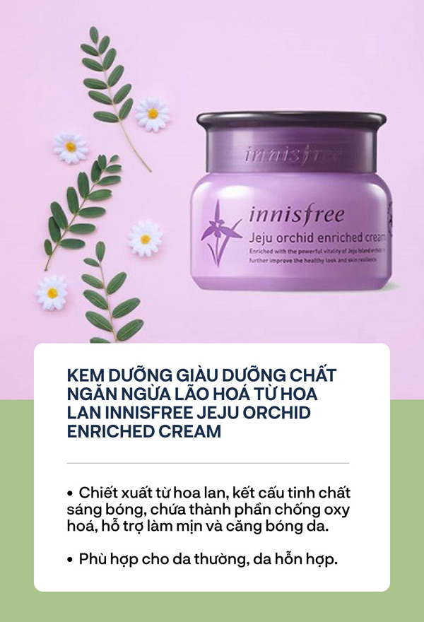 Cùng hội chị em săn lùng “vũ khí bí mật” cho làn da không tuổi từ innisfree - 5