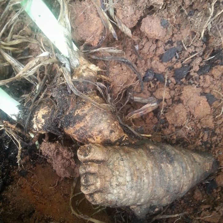 Những bức ảnh có tài ảo thuật, khiến bạn không tin vào chính mắt mình - 6