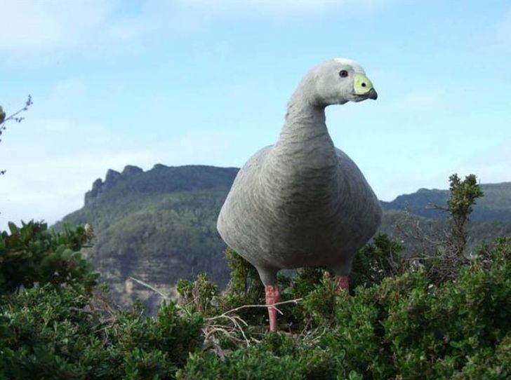 Những bức ảnh có tài ảo thuật, khiến bạn không tin vào chính mắt mình - 9