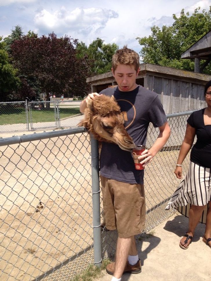 Những bức ảnh có tài ảo thuật, khiến bạn không tin vào chính mắt mình - 13