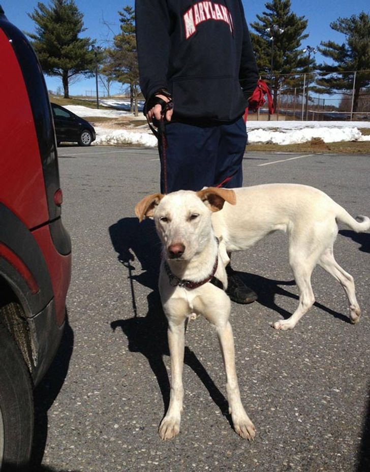 Những bức ảnh có tài ảo thuật, khiến bạn không tin vào chính mắt mình - 1