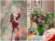 Nhà đẹp - Mua “cây bụi” trời Tây về cắm Tết, mẹ Hà Nội tiết lộ cách chơi không bị mất thẩm mỹ