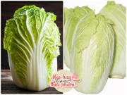 Bếp Eva - Mua cải thảo nên chọn cây xanh hay trắng, người trồng mách đừng có mua nhầm