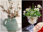 Nhà đẹp - Đừng chỉ chơi tuyết mai, thanh liễu, đây là 6 loại hoa gọi tài lộc không thể thiếu Tết này