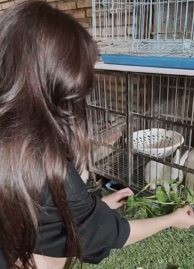 Sao Việt 24h: Chia sẻ tình trạng của con gái, vợ cũ mong Hoàng Anh bỏ qua xung đột - 12