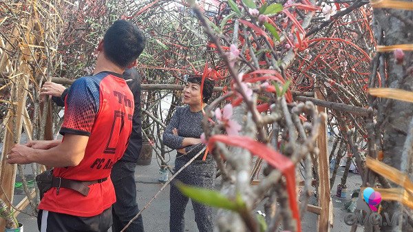 Lần đầu tiên đào rừng gắn tem xuất hiện ở Hà Nội, giá từ 300.000 đồng hút khách chơi Tết - 16