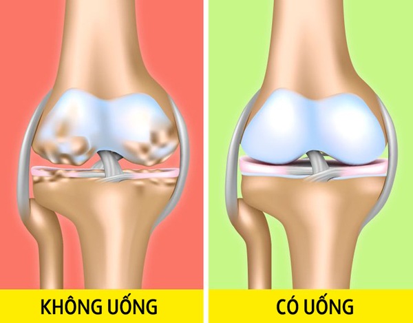 5 lợi ích tuyệt vời của quả lựu, ăn một quả mỗi ngày giúp phòng tránh virus cúm - 6