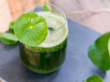 11 tác dụng của rau má và những người nên hạn chế ăn rau má