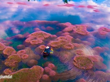 Ngất ngây trước vẻ đẹp của hồ Tảo Hồng ở Lâm Đồng, chụp ảnh ở đây cứ gọi là xuất sắc!