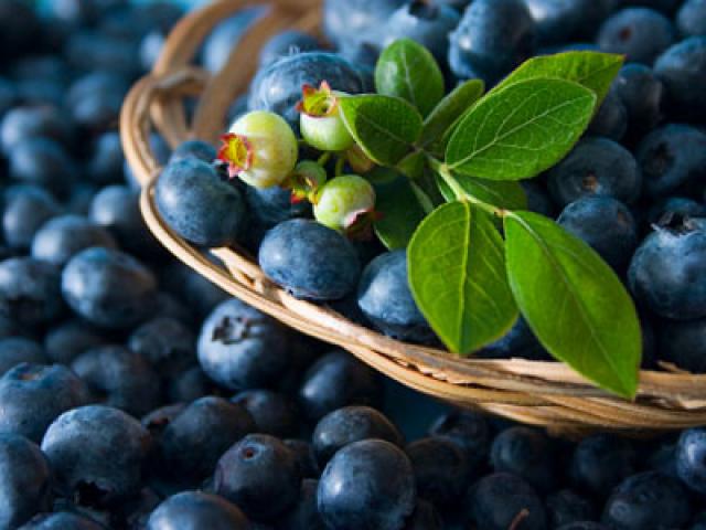 Thực phẩm tốt cho gan? Những thực phẩm nào gây hại cho gan?