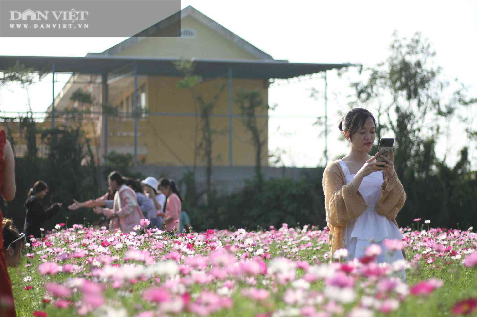 Bình Định: Hội anh em tháp tùng hội chị em đang kéo nhau rần rần tới vườn hoa nào trong tỉnh để check in? - 1