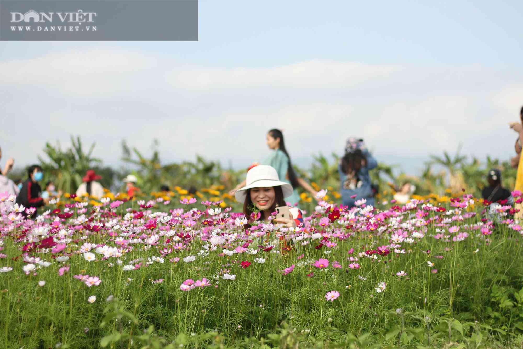 Bình Định: Hội anh em tháp tùng hội chị em đang kéo nhau rần rần tới vườn hoa nào trong tỉnh để check in? - 2