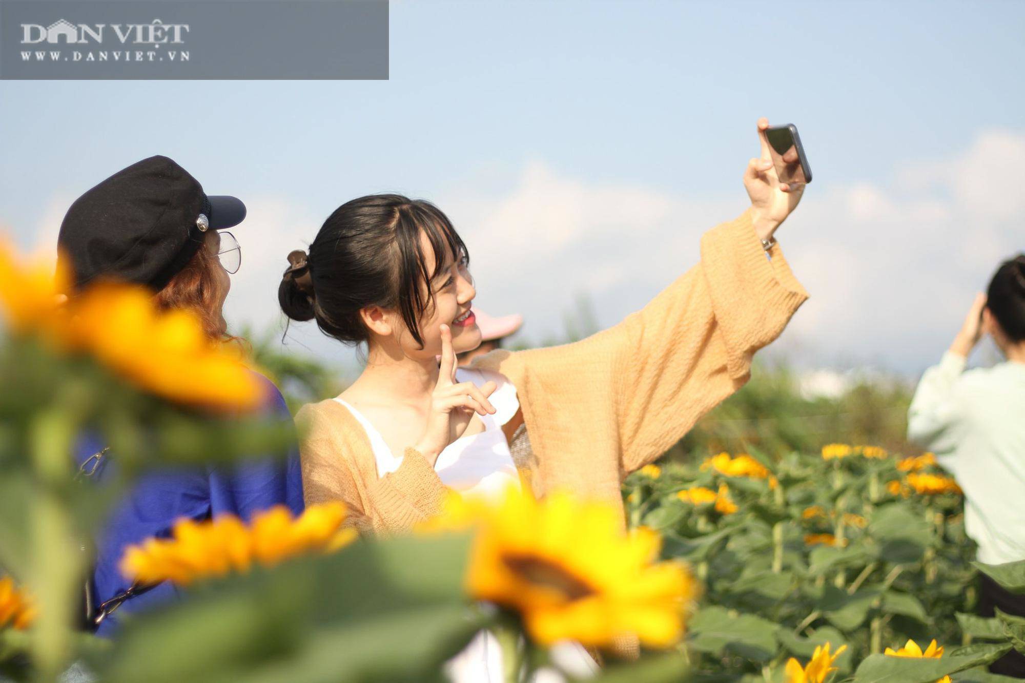 Bình Định: Hội anh em tháp tùng hội chị em đang kéo nhau rần rần tới vườn hoa nào trong tỉnh để check in? - 5