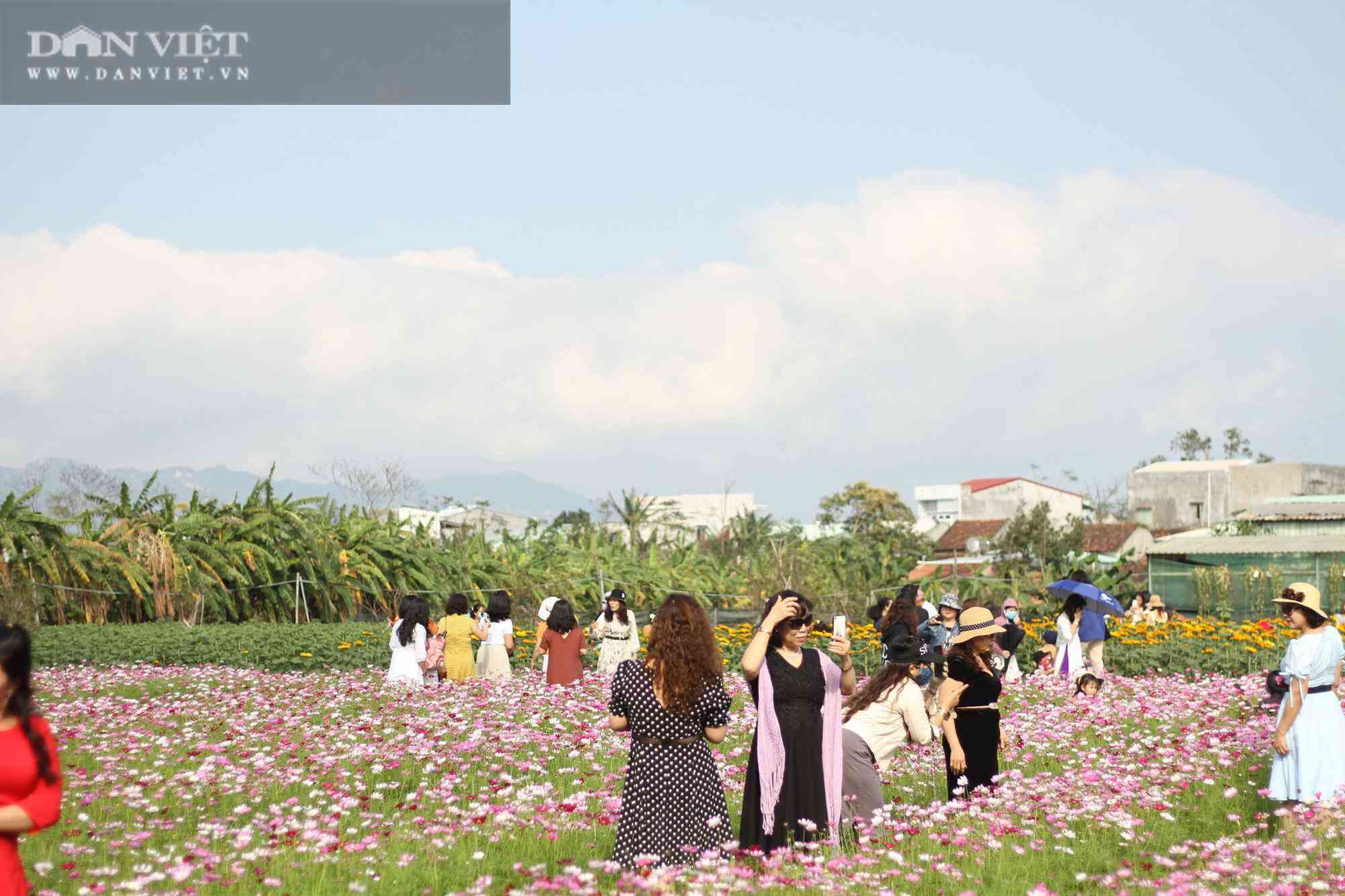 Bình Định: Hội anh em tháp tùng hội chị em đang kéo nhau rần rần tới vườn hoa nào trong tỉnh để check in? - 7