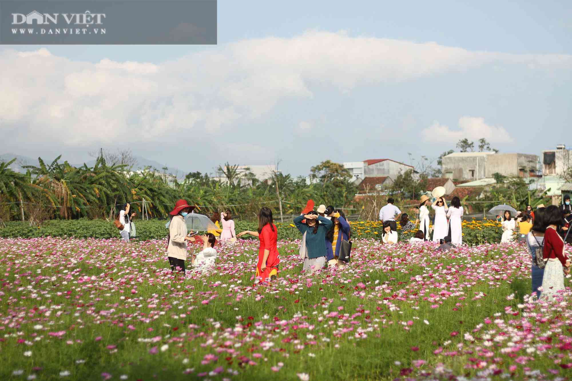 Bình Định: Hội anh em tháp tùng hội chị em đang kéo nhau rần rần tới vườn hoa nào trong tỉnh để check in? - 10