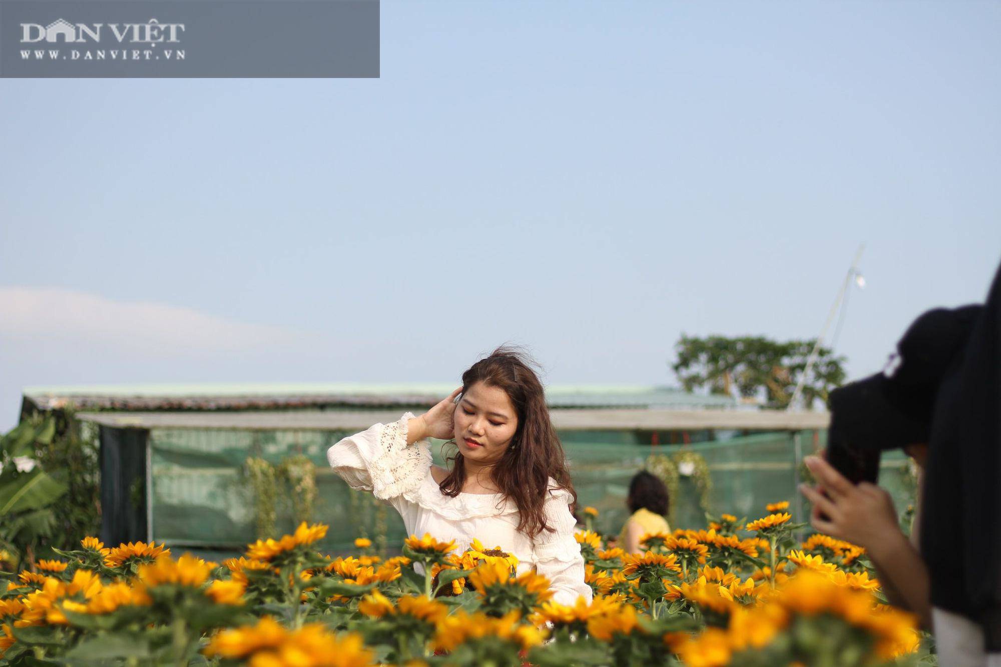 Bình Định: Hội anh em tháp tùng hội chị em đang kéo nhau rần rần tới vườn hoa nào trong tỉnh để check in? - 8