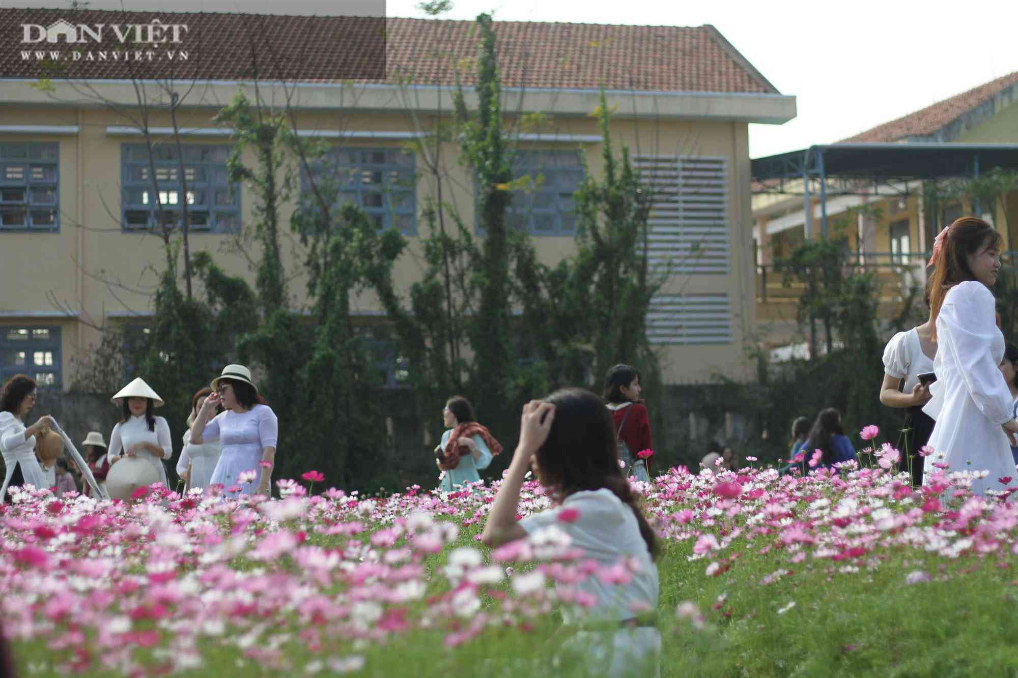 Bình Định: Hội anh em tháp tùng hội chị em đang kéo nhau rần rần tới vườn hoa nào trong tỉnh để check in? - 13