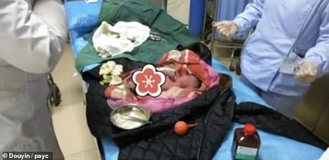 Vừa sinh con ra, mẹ nhẫn tâm vứt đứa trẻ vào thùng rác để giấu gia đình chuyện có thai - 2