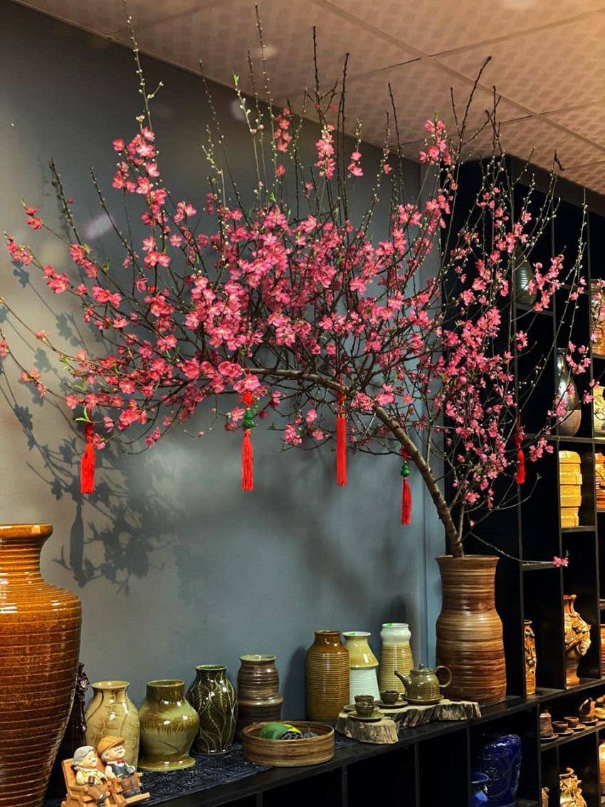 Đào dáng huyền tăng giá từng ngày lên 4-5 triệu đồng/cành, chặt cả nghìn cành vẫn amp;#34;cung không đủ cầuamp;#34; - 2