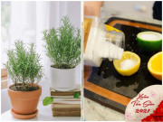 Nhà đẹp - Cách làm không gian trong nhà có mùi ấm cúng, Tết này nhất định phải thử