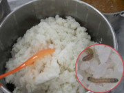 Làm mẹ - Cô giáo khoe ảnh cơm ở trường mẫu giáo giàu dinh dưỡng, mẹ tức giận tới gặp ban giám hiệu