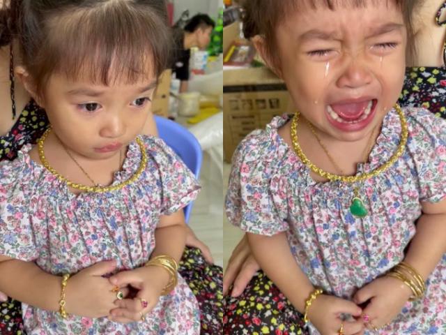 Con dâu Hồ Ngọc Hà 4 tuổi đeo vàng kín người, nhìn cảnh khóc thét ai cũng cười bò