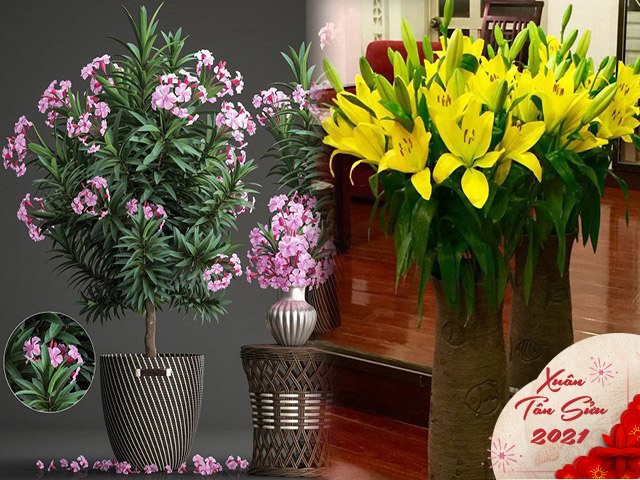 Lương y hướng dẫn cách chơi những loại hoa đẹp chứa độc mà nhiều nhà chuộng trang trí dịp Tết